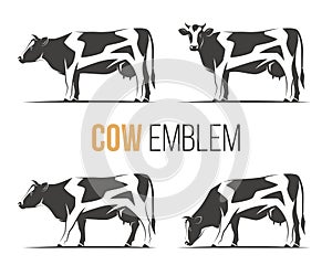 Vector set of a stylish spotted holstein cows.