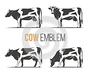 Vector set of a stylish spotted holstein cows. photo