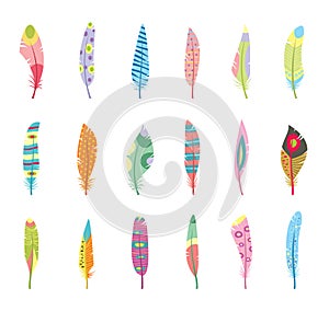 Vector Set of Stylized or Abstract Feathers and