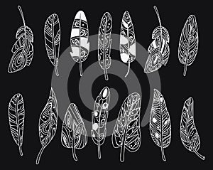 Vector set of stylized bird feathers. Collection of feathers for decoration. Black and white drawing by hand. Linear Art