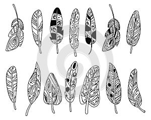 Vector set of stylized bird feathers. Collection of feathers for decoration. Black and white drawing by hand. Linear Art