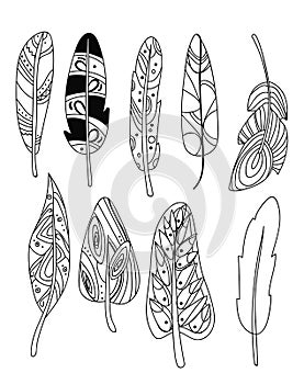 Vector set of stylized bird feathers. Collection of feathers for decoration. Black and white drawing by hand. Linear Art