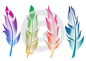 Vector set of stylized bird feathers. Linear collection for decoration.