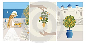 Vector Set Summer vacation theme and inspiration. Beautiful girl collects lemons from the tree into a basket.  Abstract place, vil