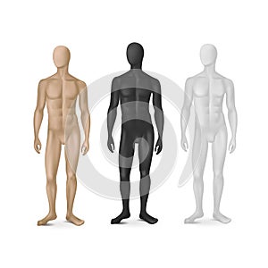 Vector Set of Three Male Mannequins