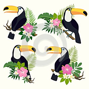 Vector set with toucan