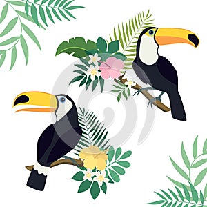Vector set of toucan birds on tropical branches with leaves and flowers