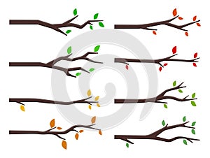 Set of tree branches in flat style photo