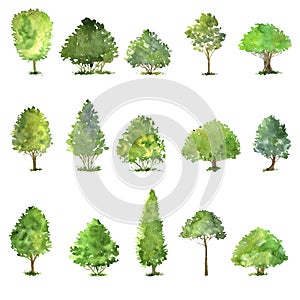 Vector set of trees drawing by watercolor