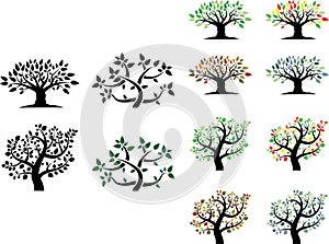 Vector set of trees with seasons