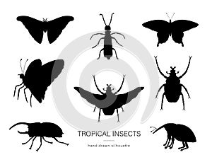 Vector set of tropical insects