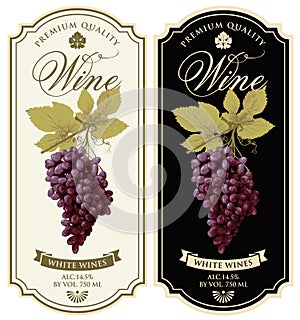 Vector set of two wine labels with grape bunches