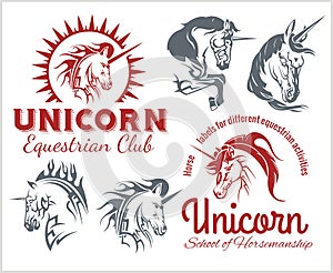 Vector set - Unicorns and horses equestrian