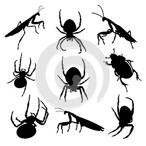 Vector set of various insects: mantis, spider and earth-boring dung beetle in black color