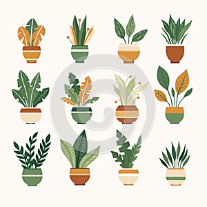 Vector set of various plants in pots clip arts. Collection of flowers for home decoration. Greenery in vases. Natural design