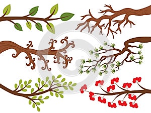 Vector Set of Various Tree Branches. Tree Branches Vector Illustration
