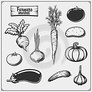 Vector set of vegetables isolated on white background. Farmers market icons.