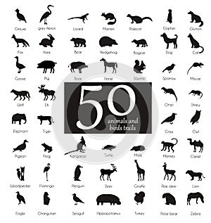 Vector set of very detailed animal silhouettes with name