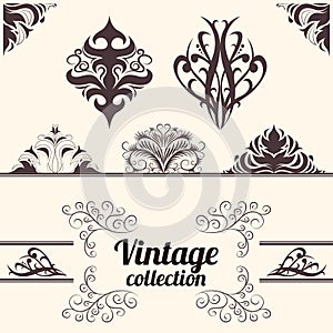 Vector set: vintage calligraphic design elements.