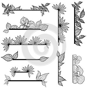 Vector set of vintage design elements with leafs