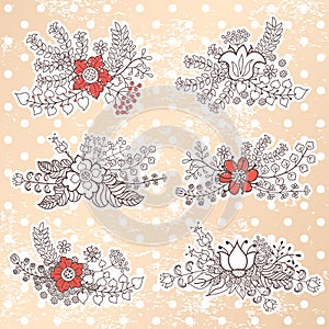 Vector set with vintage flowers composition.Polka dot background photo