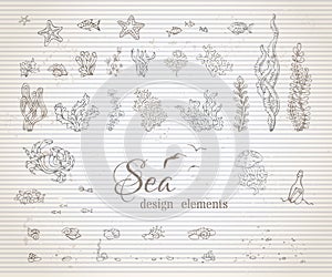Vector set of vintage sea life design elements.