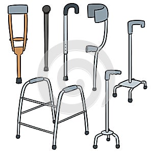 Vector set of walking stick