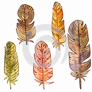 Vector set of watercolor feathers