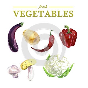 Vector set of watercolor fresh vegetables
