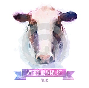 Vector set of watercolor illustrations. Cute cow