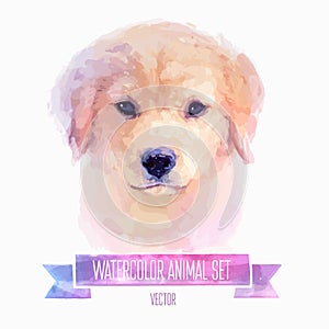 Vector set of watercolor illustrations. Cute dog