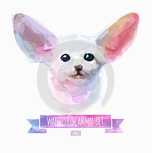 Vector set of watercolor illustrations. Cute fox