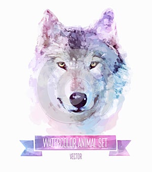 Vector set of watercolor illustrations. Cute wolf