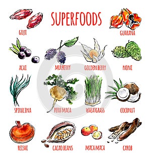 Vector set of watercolor illustrations of healthy superfoods