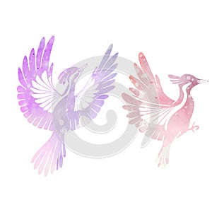 Vector set of watercolor woodpeckers silhouettes. Pink and violet stylized bird clipart isolated from background. Design elements