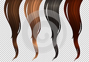 Vector Set of Wavy Strands of Colorful Hair Locks. Realistic 3d Illustration of Hairstyle Samples. Design Element for