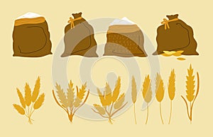 Vector set of wheat ears, rye bouquets, bags of flour, sugar, wheat germ grains. Cute and flat style. Beautiful