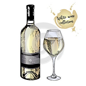 Vector set of white wine in engraved vintage style. Colored wine bottle and glass. Isolated on white background.