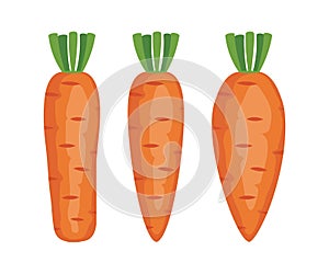 Vector set of whole carrots