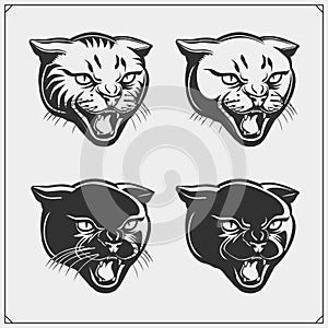 Vector set of wild cat heads.