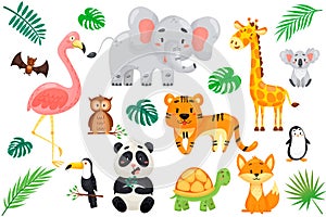 vector set of wild exotic animals in cartoon style.