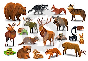 Vector set of wild forest animals like stag, bear, wolf, fox, tortoise photo