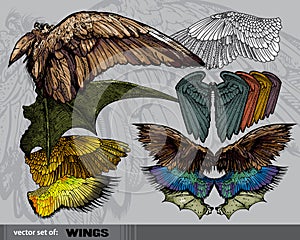 Vector set of Wings