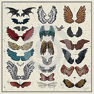 Vector set of wings