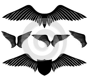 Vector set. Wings.