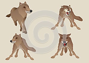 Vector set of wolves isoalated on white