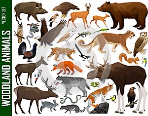 Vector set of woodland animals