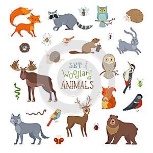 Vector set of woodland animals made in cartoon style.