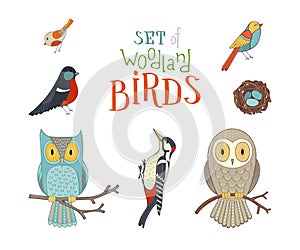 Vector set of woodland birds in cartoon style.