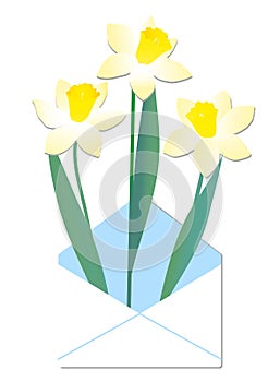 Vector set of yellow daffodils isolated on white background. Early spring garden flowers. Bouquet of narcissuses